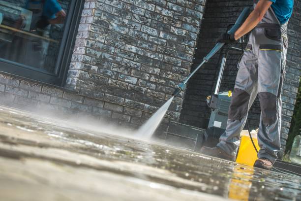 Best Window and Screen Pressure Cleaning in Vla Grove, IL