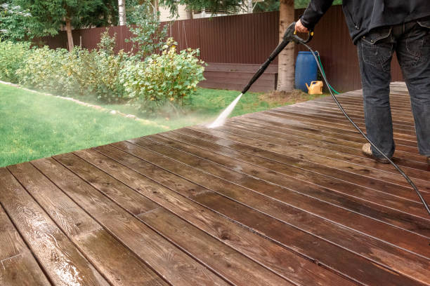 Best Roof Cleaning and Mildew Removal in Vla Grove, IL