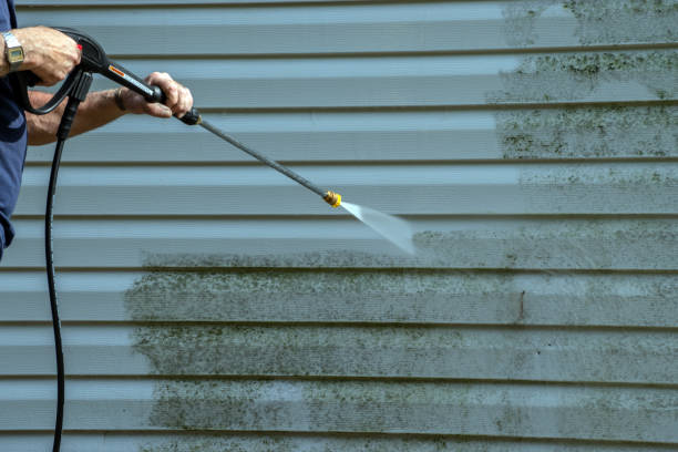 Best Deck and Patio Pressure Washing in Vla Grove, IL