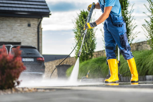 Best Soft Washing for Delicate Surfaces in Vla Grove, IL